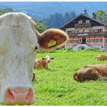 Alpinresort Derbacherhof นีเดิร์นซิลล์ ภายนอก รูปภาพ